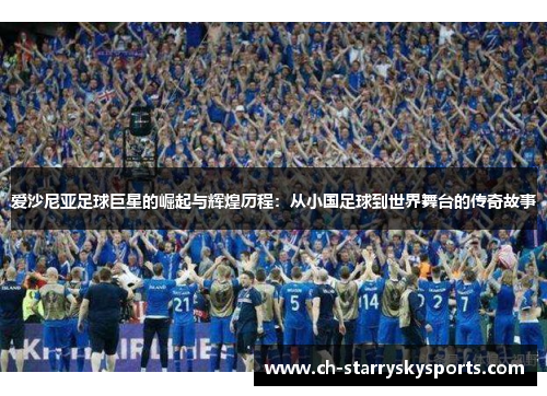 爱沙尼亚足球巨星的崛起与辉煌历程：从小国足球到世界舞台的传奇故事