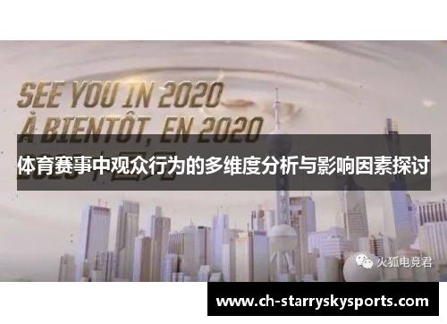 体育赛事中观众行为的多维度分析与影响因素探讨
