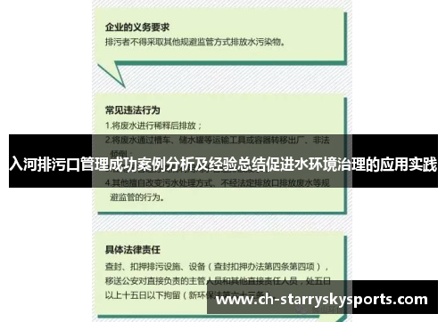 入河排污口管理成功案例分析及经验总结促进水环境治理的应用实践