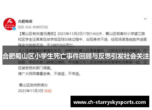 合肥蜀山区小学生死亡事件回顾与反思引发社会关注