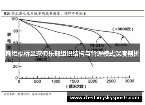 斯坦福桥足球俱乐部组织结构与管理模式深度剖析