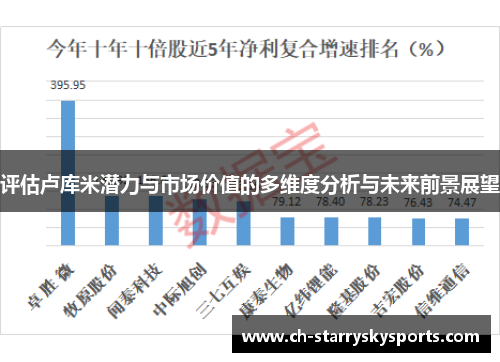评估卢库米潜力与市场价值的多维度分析与未来前景展望